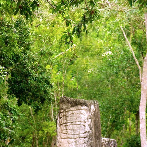 Explorar la Biosfera de Calakmul – CAMPECHE, MARAVILLAS NATURALES